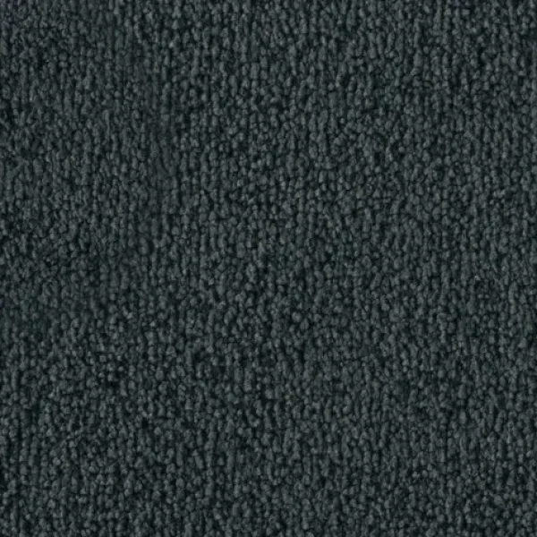 Vorwerk Safira Teppichboden Farbcode 4H79 – Draufsicht ohne Etikett